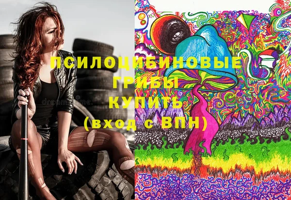 винт Ладушкин
