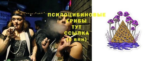 Альфа ПВП Лабытнанги