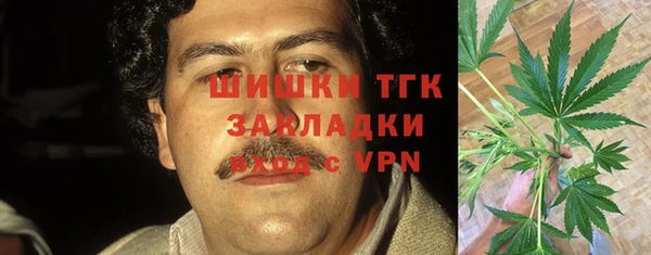бошки Лагань